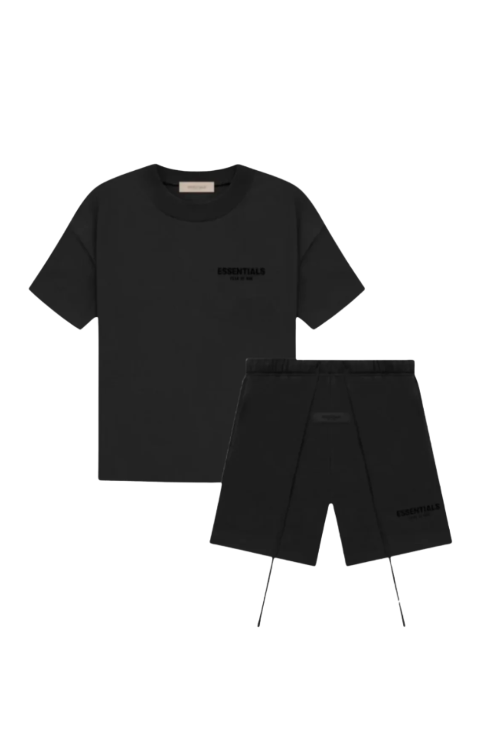 Immagine diapositiva