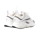 Immagine diapositiva