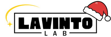 Lavinto Lab